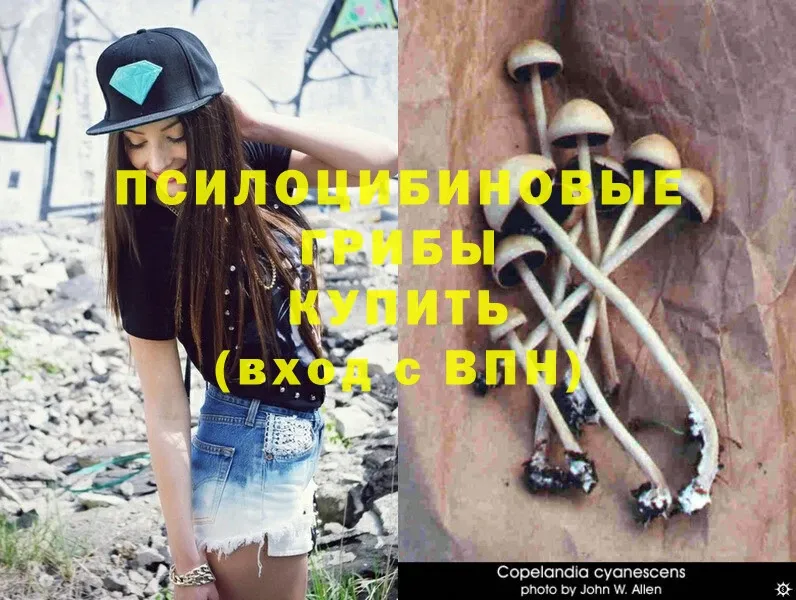 Галлюциногенные грибы Magic Shrooms Партизанск